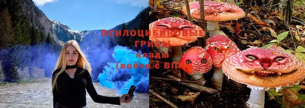 ALPHA PVP Алексин