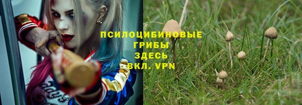 гидропоника Алексеевка