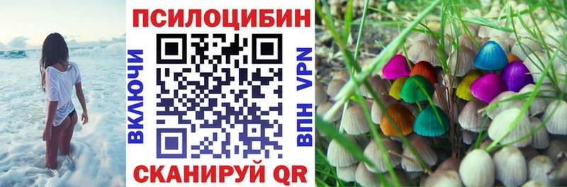 сайты даркнета какой сайт  Грайворон  Псилоцибиновые грибы Psilocybe 